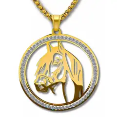 GENERICO - Collar Para Hombre Mujer Con Dije Caballo Piedras Color Oro