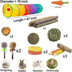 GENERICO - Túnel más 17 Juguetes Molares para Roedores Alicia