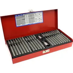 TOOL BE - Juego De Punta Torx, Bristol Y 12 Puntas 40 Piezas