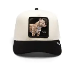 GOORIN BROS - GORRA THE SUEDE PITBULL FLEX