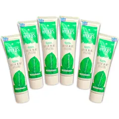 HEALTHY AMERICA - Pasta Dental X6 Herbal Hgw