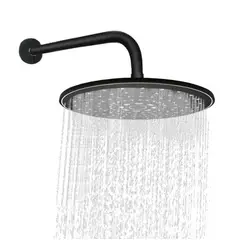 PAMO - Regadera Ducha Negra con Dorado en ABS 23cm + Tubo