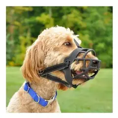 COASTAL - PERRO BOZAL BASKET TALLA 1