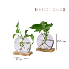 GENERICO - Florero Flotante de Madera Terrario de Vidrio set x2