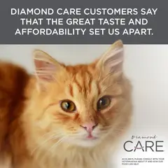 DIAMOND NATURALS - Diamond Care Urinary Adult Cat 1kg