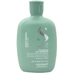 ALFAPARF MILANO - Energizing Low Shampoo Alfaparf anticaida