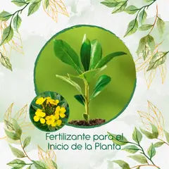 GENERICO - Fertilizante Para El Inicio De Flor Alheli Amarilla