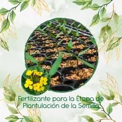 GENERICO - Fertilizante De Plantulación Para Flor Alheli Amarilla