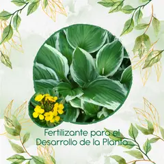 GENERICO - Fertilizante Para El Desarrollo De Flor Alheli Amarilla