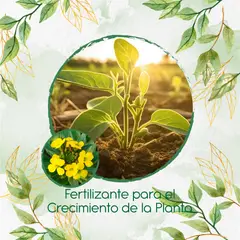 GENERICO - Fertilizante Para El Crecimiento De Flor Alheli Amarilla