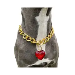GENERICO - Collar de cadena para perro con dije de Corazón