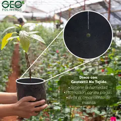 GENERICO - PROTECTOR EN GEOTEXTIL ANTI-MALEZA PARA MATERAS * 5 UNIDADES