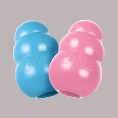 KONG COMPANY - KONG Puppy Portapasabocas Colores Surtidos talla L