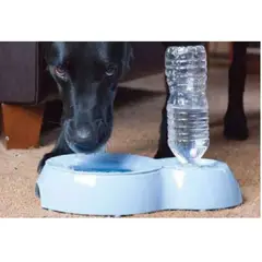 PETSPA - DISPENSADOR POR GRAVEDAD 600ML SM MORADO