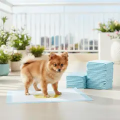 GENERICO - Tapetes Entrenadores Pañales Para Mascotas X360 Unidades color azul