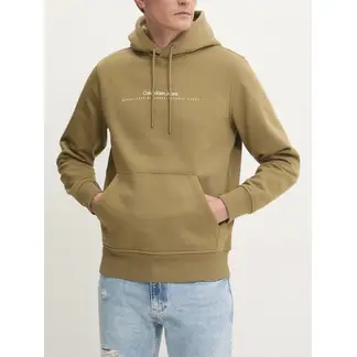 CALVIN KLEIN - Buzo Verde Con Capota Y Logo Pequeño