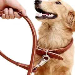 GENERICO - ARNES CORREA CON COLLAR PARA PERRO GRANDE CUERO LARGO LUJO