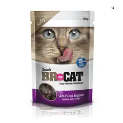 BR - Snack For Car Softy Skin Y Coat Support 100gr