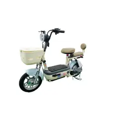 ZHOPI CO - Bicicleta Electrica 500 W Classic