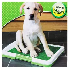 GENERICO - Tapete Baño Entrenador Para Mascotas Tapete Pequeño