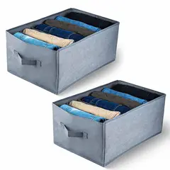 ENERGY PLUS - Set x2 Organizador Multiusos Plegable con 6 Compartimentos