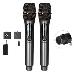GENERICO - Microfono Inalambrico Doble Profesional Recargable Tipo C