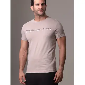 CALVIN KLEIN - Camiseta gris con logo institutional bicolor