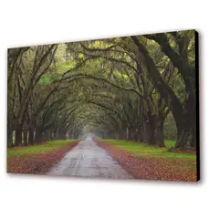 ART INDUSTRY - Cuadro 50x30cms Decorativo Camino