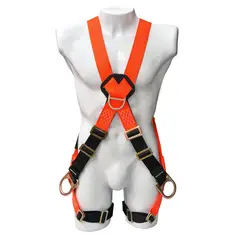 INSAFE - ARNES 4 ARGOLLAS EN X