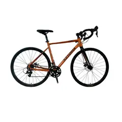 PROFIT - Bicicleta Astoria Rin 700 16 Velocidades dorado
