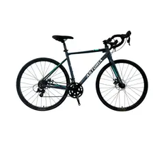 PROFIT - Bicicleta Astoria Rin 700 16 Velocidades gris