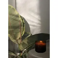 SELVAJE - Vela Palmar - Coco, Lima & Verbena 210 gr