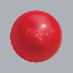 KONG COMPANY - KONG Classic Pelota para Perro talla S