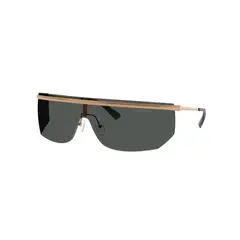 MICHAEL KORS - Nueva Colección - Gafas de Sol Palisades Marrón