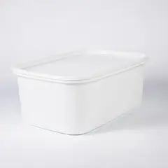 ESTRA - Recipiente Plastico Rectangular para congelacion 8L blanco 4-1043085