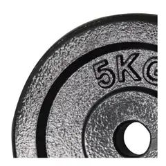 HOMESALE - Disco de Pesas de 5 kg en Hierro Fundido – Resistencia