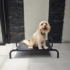 INDUHOGAR - Cama elevada para perros en tubo y lona antifluidos talla M