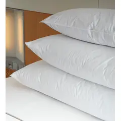 WONDER HOME - Almohada Siliconada Set x 2 50x70cm + protector Antifluido