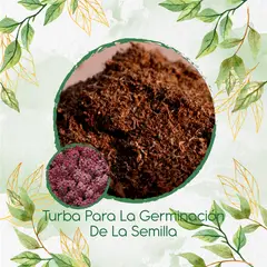 GENERICO - Turba Canadiense Especial Para Semillas De Aliso Rosa