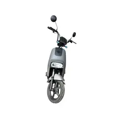 FPIMPORT - FP-BIKE 350W GRIS