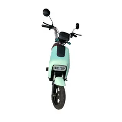 FPIMPORT - FP-BIKE 350W VERDE