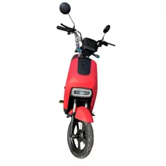 FPIMPORT - FP-BIKE 350W ROJA