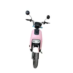 FPIMPORT - FP-BIKE 350W ROSADA