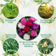 GENERICO - Kit De Fertilizantes Para El Proceso De Siembra Para Flor Aster