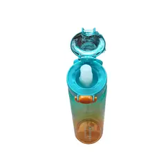 GENERICO - BOTELLA DE AGUA SABORIZADA