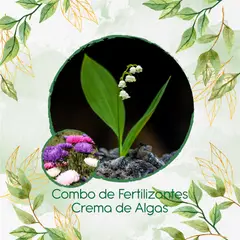 GENERICO - Combo De Fertilizantes Crema De Algas Para Flor Aster California