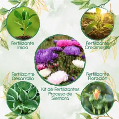 GENERICO - Kit De Fertilizantes Para La Siembra De Flor Aster California