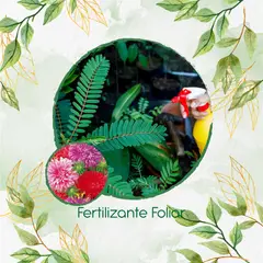 GENERICO - Fertilizante Generación De Brotes Para Flor Aster Pluma De Avestruz