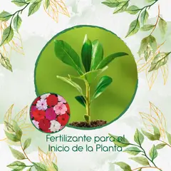 GENERICO - Fertilizante Para El Inicio De Flor Besitos