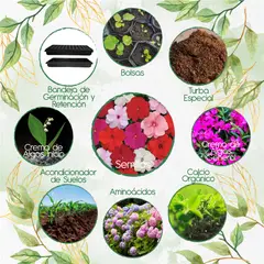 GENERICO - 100 Semillas De Flor Besitos + Kit Orgánico